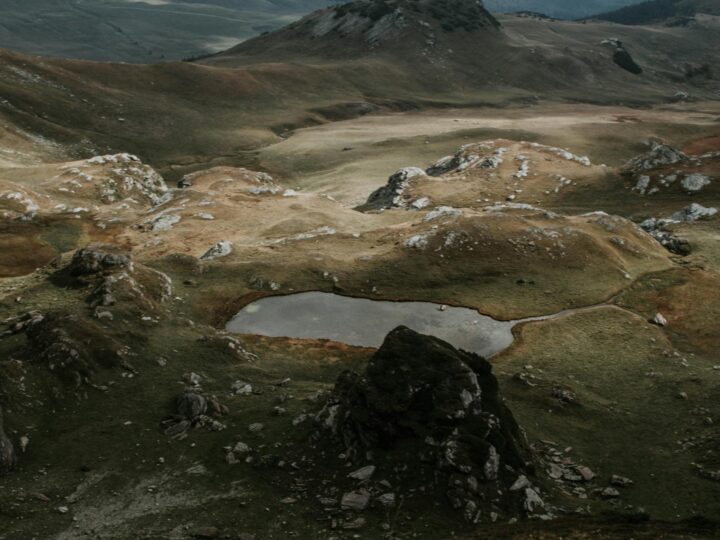 Парк Брамкот Хллс